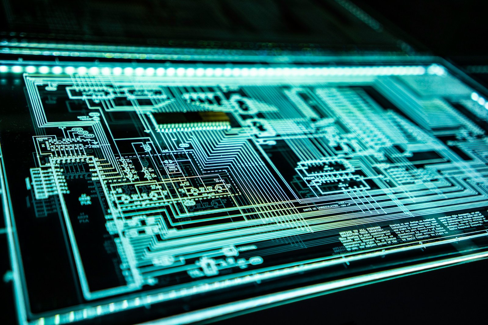 Cybersecurity Essentials for Tech Startups: Protecting Your Digital Assets from Day One